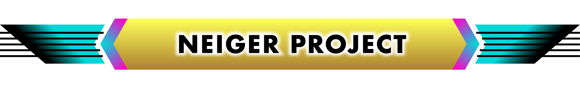 NEIGER PROJECT